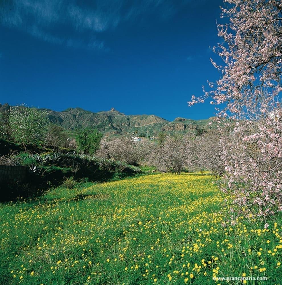 Отель Cortijo San Ignacio Эль-Кортихо Экстерьер фото