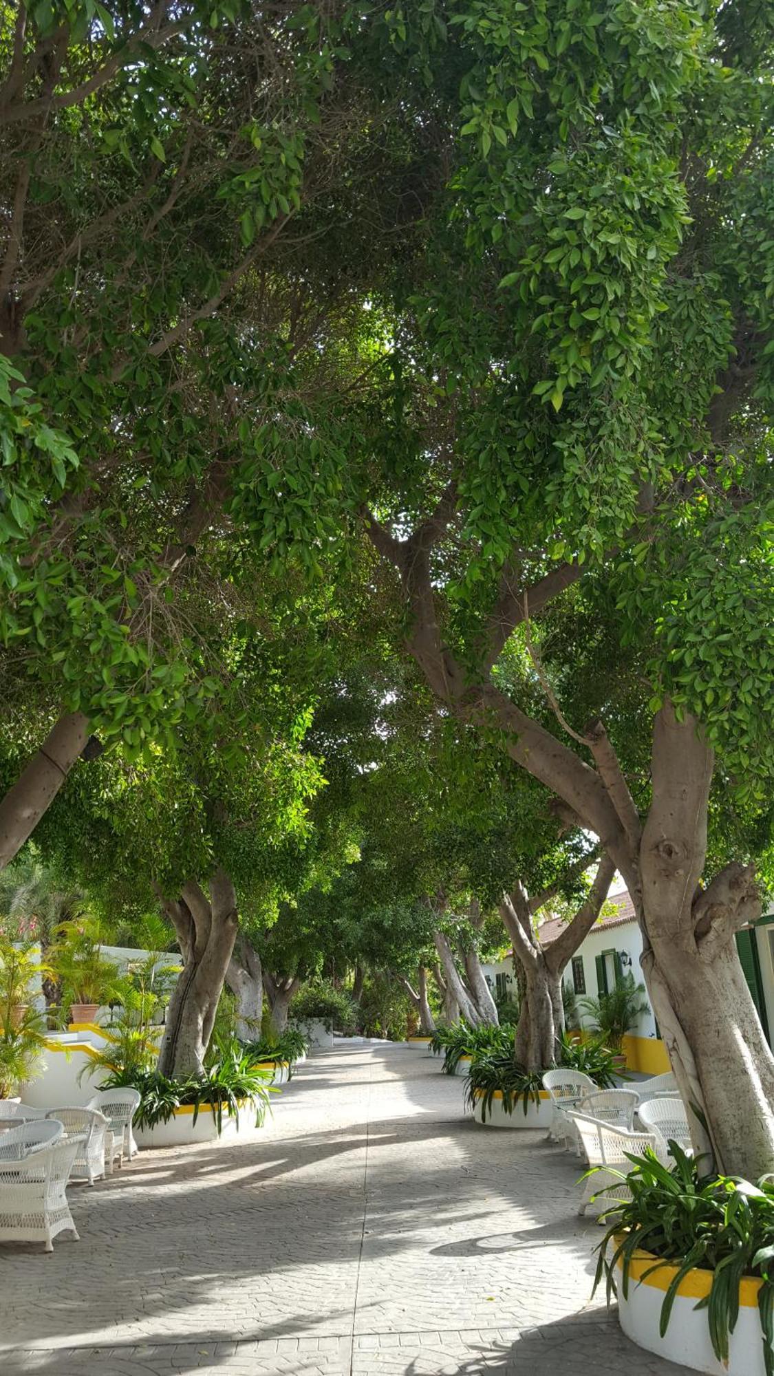 Отель Cortijo San Ignacio Эль-Кортихо Экстерьер фото